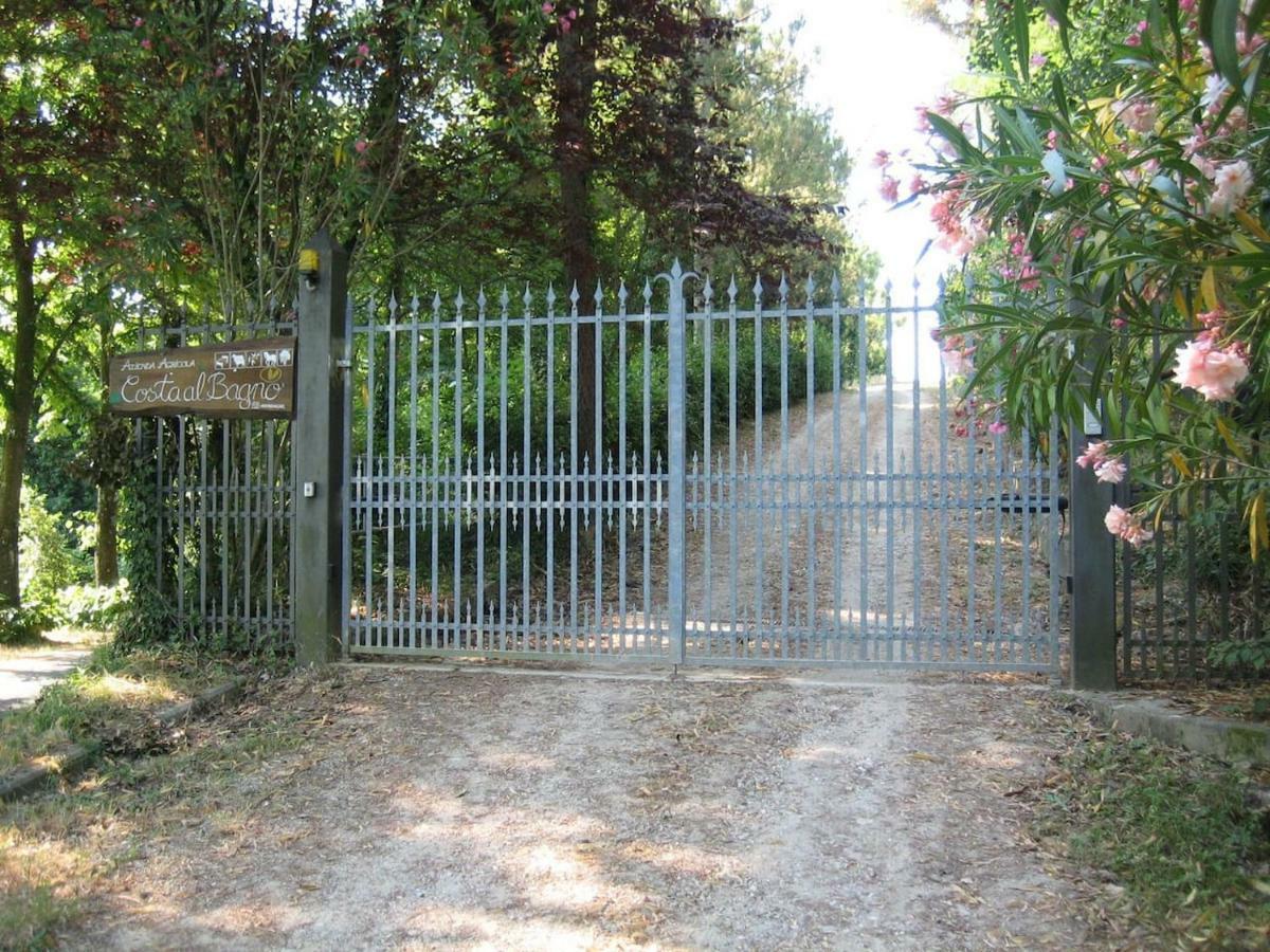 Villa In Campagna Costa Al Bagno Montopoli in Val dʼArno Zewnętrze zdjęcie