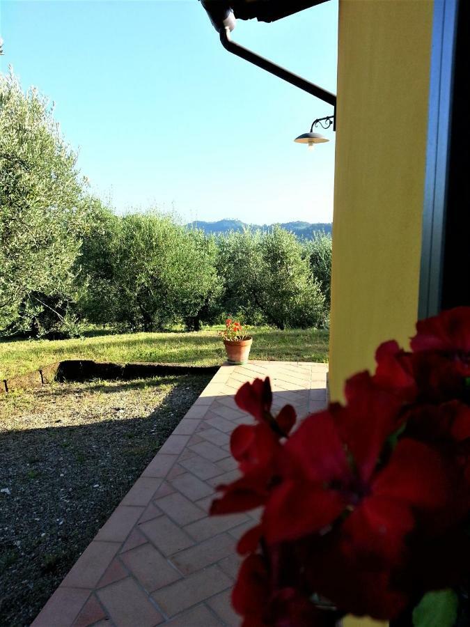 Villa In Campagna Costa Al Bagno Montopoli in Val dʼArno Zewnętrze zdjęcie